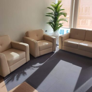 Executive Office Sofa