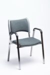 New Royal Grey Nickel Waiting Chair with Bidet